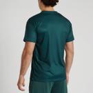 Leone T-SHIRT PREMIUM 2 - green